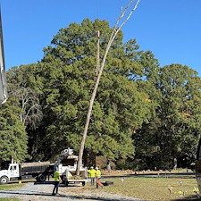 Tree-Removal-with-Crane-at-Woodlawn-Cemetery 13